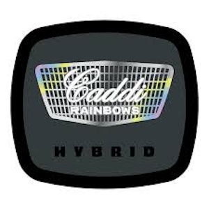 93 BOYZ - 93 Boyz | Flower | Caddi Rainbows | 3.5g