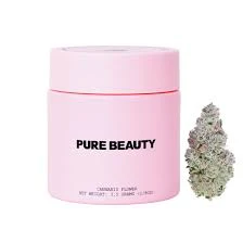 Pure Beauty - Pure Beauty 3.5g Pink Panther Main Image