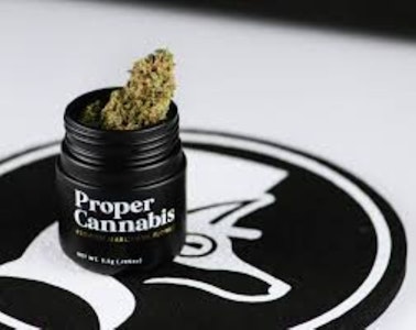 PROPER CANNABIS - PROPER - STUDIO 54 3.5 GRAMS