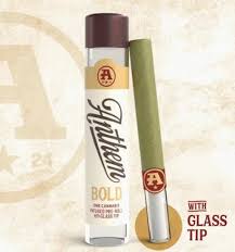Infused Glass Tip Single | Berry Gelato | 1g
