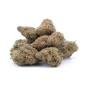 Lambs Breath