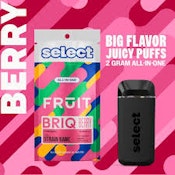 Select Fruit Briq | Disposable | Sweet Strawberry | 2g