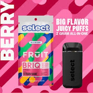 SELECT - Select Fruit Briq | Disposable | Key Lime Tide | 2g