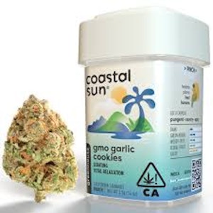 COASTAL SUN - (GMO) Garlic Cookies - 3.5g (IH) - Coastal Sun