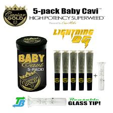 Caviar Gold - Caviar Gold - Preroll - Infused - Baby Cavi - Lightning OG - 2.5G Main Image