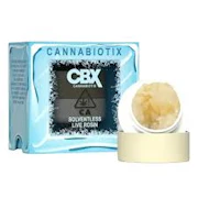 Cannabiotix Cold Cure Live Rosin T2 1g Gluetopia