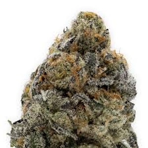 DIME BAG - Dime Bag | Grape Gas Indica 3.5 grams
