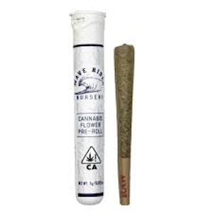 Wave Rider - Wave Rider Preroll 1g Amnesia Haze