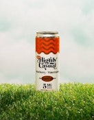 Highly Casual | (5MG) 1:1 CBD Seltzer | Strawberry Watermelon 