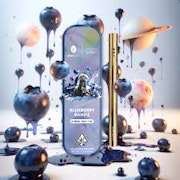 Dompen x EVOL by Future All In One 1g Blueberry Bandz