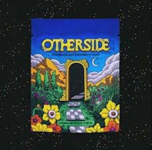 OTHERSIDE - Otherside | Flower | Point Break | 3.5g