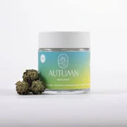 Autumn Brands 3.5g Sour Power #69