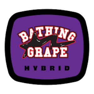 93 BOYZ - 93 Boyz | Flower | Bathing Grape | 3.5g