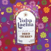 YubaLachia | Dark Chocolate Covered Dried Cherries | 25mg