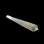 Quiet Kings Kali Mist (Dd Promo) (S) Prerolls 1g