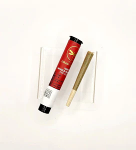 DRAGONFLY (MI) - Dragonfly 1G PR -  Platinum Lemon Cherry Gelato