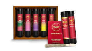 Dragonfly - Melon Gum - 1.25g Infused Preroll