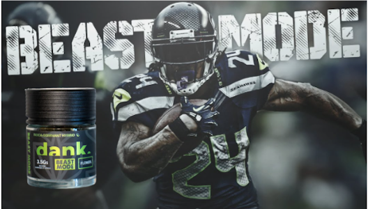 DANK BY DEFINITION - Beast Mode (3.5G Jar)