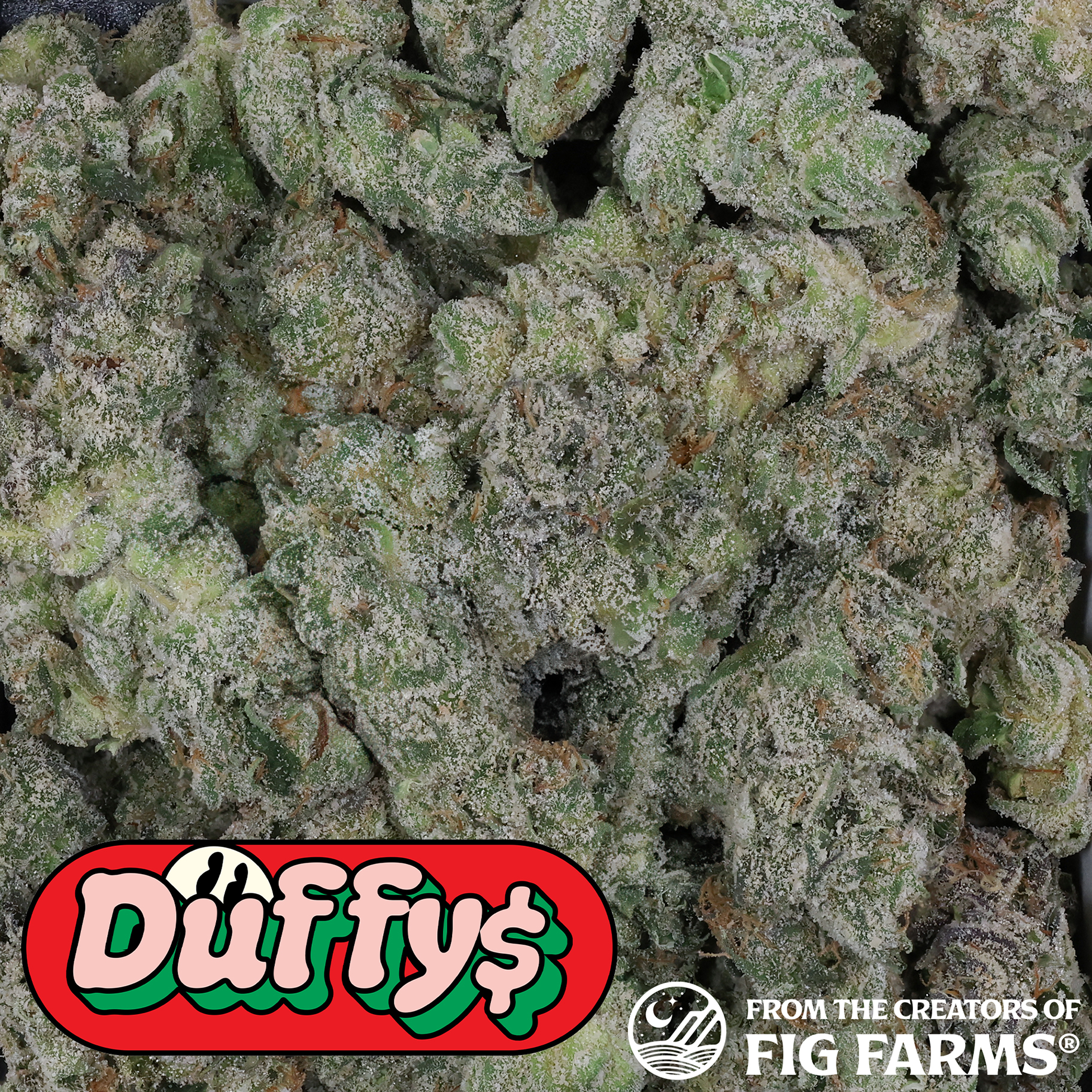 Duffy's | Huckleberry Soda | Smalls | 3.5g