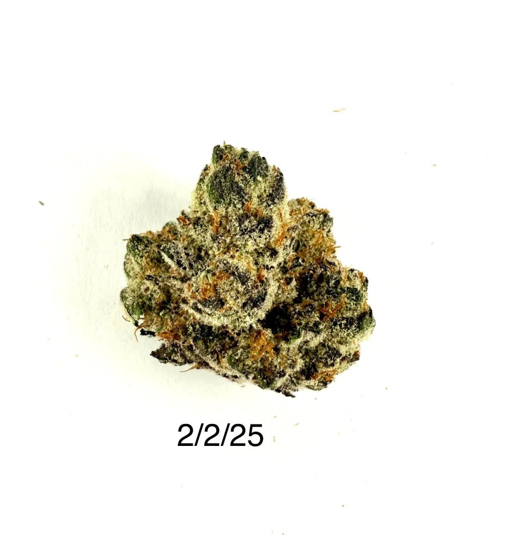 PROHIBITION 37 - P37 - Dulce de Limon Main Image