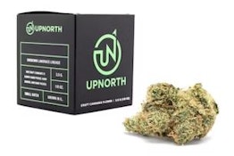 DUTCH TREAT 3.5G - UPNORTH HUMBOLDT