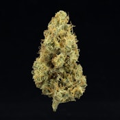 Dutch Treat - 3.5g (H) - UpNorth