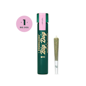 Dogwalkers 1g Big Dog Afternoon Delight #4 (H) 01218