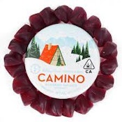 Camino - Holiday Punch Gummies 100mg