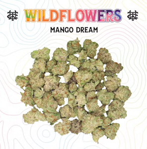 West Coast Trading Co - WCTC Mixed Light SMALLS 3.5g Mango Dream $22