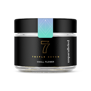 TRIPLE SEVEN - Dirty Squirt Premium Smalls - 7g