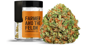 Farmer and the Felon - Guava Gelato - 28g