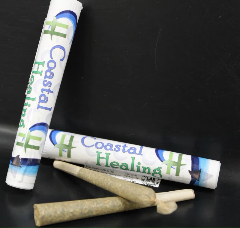 COASTAL HEALING - Step Bro PreRoll - 1g - COH Main Image