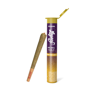 LEGACY - Legacy | Live Resin Infused Joint | Sherbadelic | 1.25g