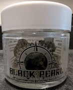 Black Pearl - 3.5g Diamond Coated - Captain Jack