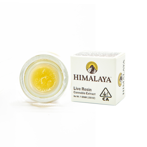 HIMALAYA - HIMALAYA | BERRIES & CREAM LIVE RESIN | EXTRACT | 1G