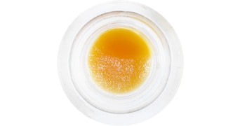 Humboldt Terp Council - SB30 Live Resin - 1g