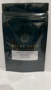Pai Gow 5 pack seeds - Atlas Seeds