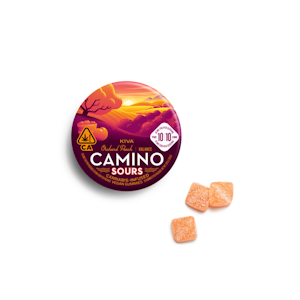 Kiva Confections - Orchard Peach Balance 1:1 Camino Sour Gummies | 100mg | KVC