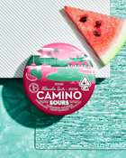 Camino - Sour Watermelon Spritz Gummy 100mg