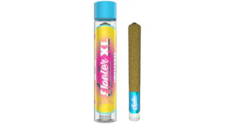 Jeeter - Gelato XL Infused Pre-Roll - 2g