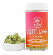 Autumn Brands Smalls 14g G-Runtz