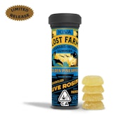 Golden Pineapple (Live Rosin Infused) Gummies - 100mg (I) - Lost Farms