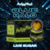 PoP | Live Sugar | Blue Halo | 1g