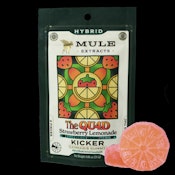 Mule | Strawberry Lemonade | Hybrid 1:1:1:1 100mg Gummy