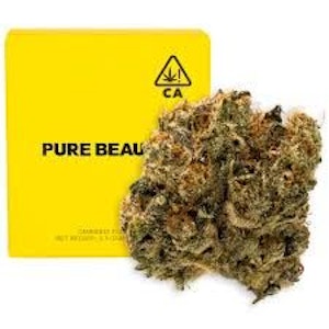 PURE BEAUTY - [Pure Beauty] Flower - 3.5g - Mango Mintality (SH)