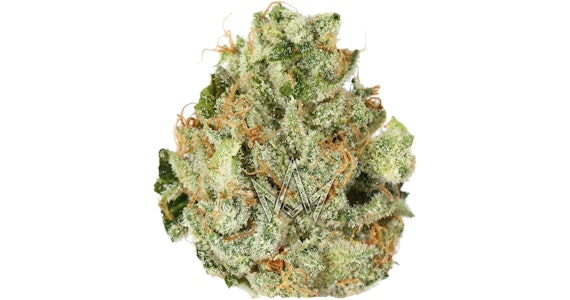 CANNABIOTIX - Cannabiotix - Tropicanna - 14g