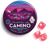 Camino Pride Passion Fruit Punch (S/H) Gummies 100mg