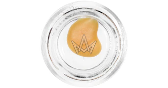 Punch Extracts - Black Cherry Gelato BHO Badder - 1g