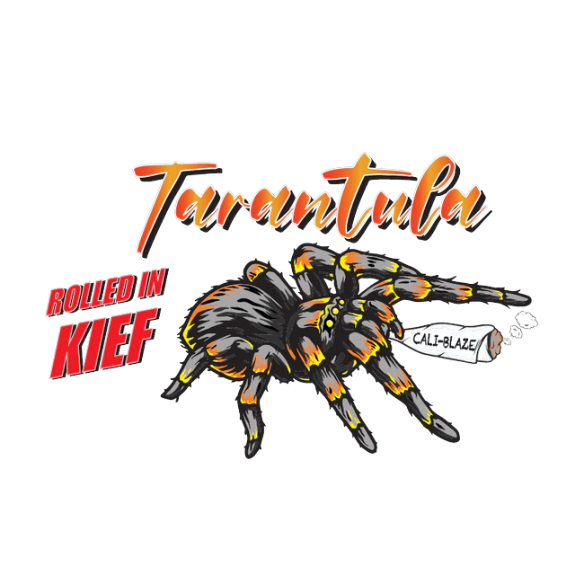 Cali-Blaze - Cali Blaze | Tarantula 1 G Indica Main Image