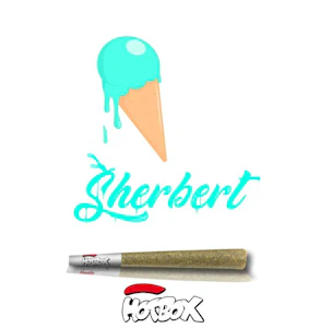 Hot Box - Ice Cream Sherbet Pre-Roll - 1g